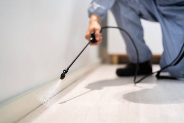 Certified termite inspector examining foundation in Huber Heights