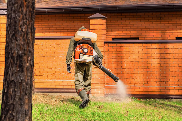 Bed Bug Clearance Verification and Documentation in Huber Heights